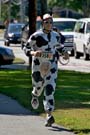 Um, sir, do you know you are wearing a cow suit?